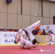 开云体育app下载-关于柔道赛场再起风云：漓江鲨队队惊险晋级东海独角兽队，赛场气氛火爆复盘值得玩味的信息