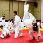 开云体育app下载-关于柔道赛场再起风云:漓江鲨队队惊险晋级东海独角兽队,赛场气氛火爆复盘值得玩味的信息